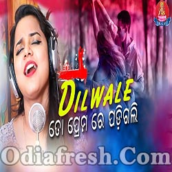 Dilwale To Premare Padigalli (Asima Panda,Sushil) Romantic Song